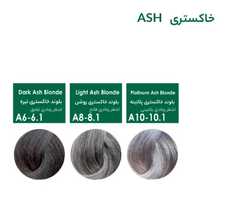 رنگ موی خاکستری پیکارو