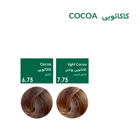 سری کاکائویی رنگ مو پیکارو